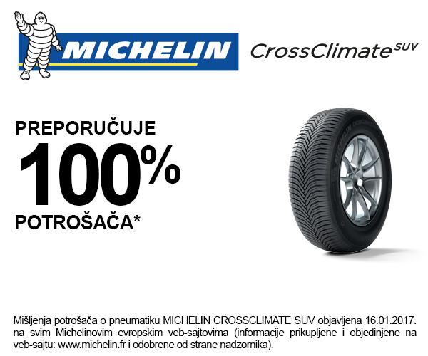 Michelin Cross Climate